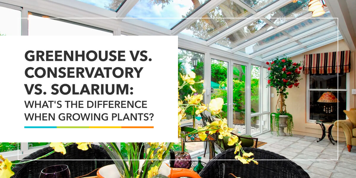 Greenhouse vs conservatory vs solarium whats the difference when growing plants
