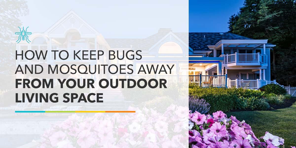How to Keep Bugs and Mosquitoes Away From Your Outdoor Living Space